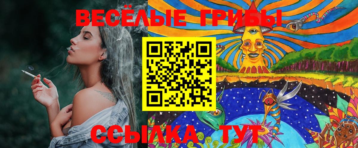 Псилоцибиновые грибы Cubensis Усинск